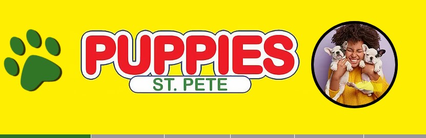 Company logo of Puppies St Pete
