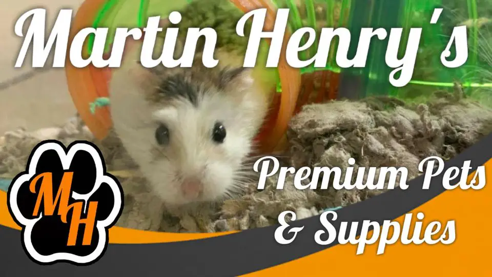 Martin Henry's Premium Pets & Supplies