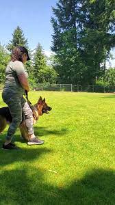 Canyon Crest K-9 Training Center