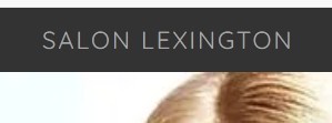 Company logo of Salon Lexington