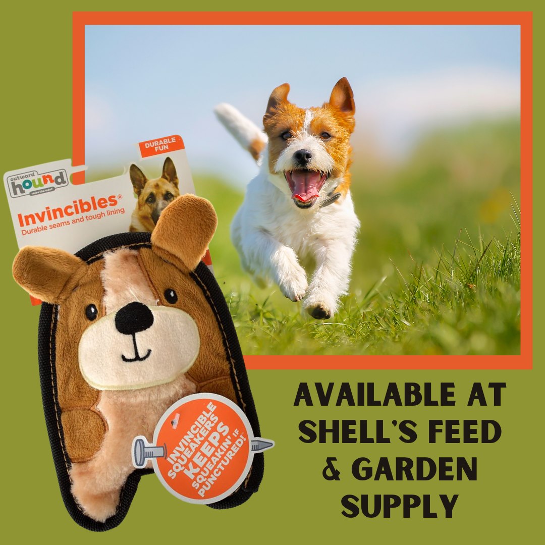 Shell's Feed & Garden Supply