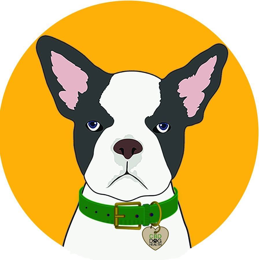 Company logo of CBD Dog Health