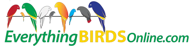 Company logo of Everything Birds