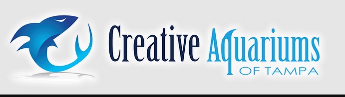 Company logo of Creative Aquariums of Tampa