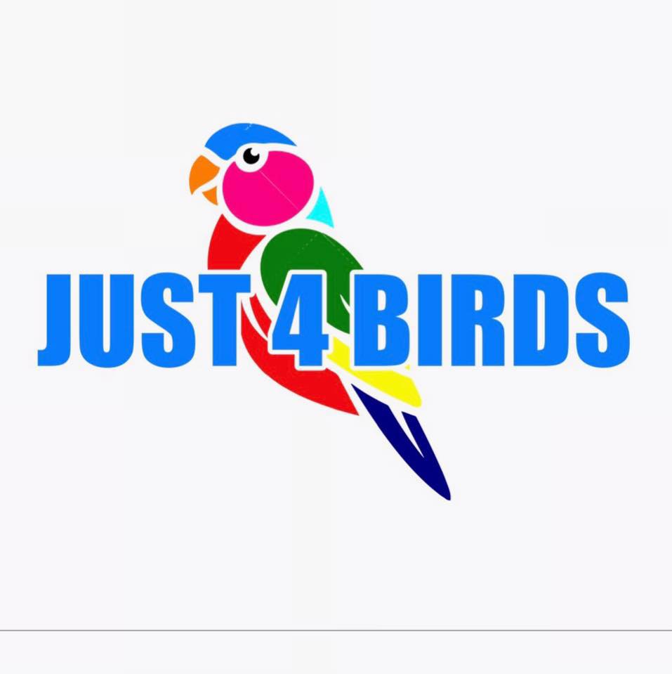 Company logo of Just4BirdsII