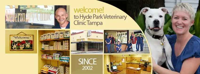 Hyde Park Veterinary Clinic