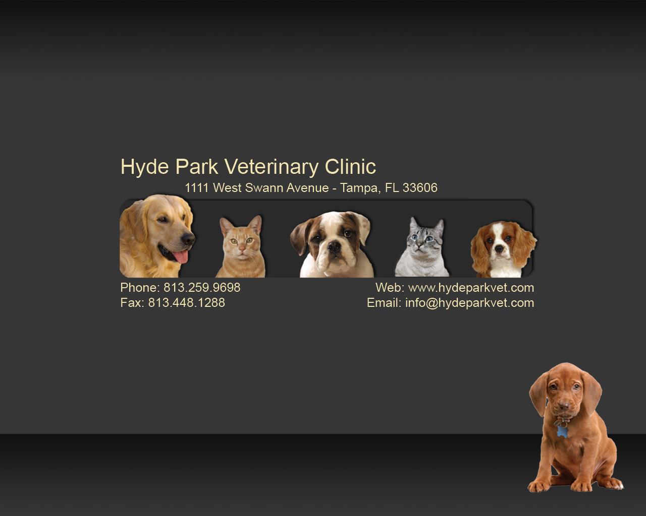 Hyde Park Veterinary Clinic