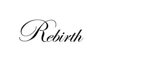 Company logo of Rebirth Hair Salon