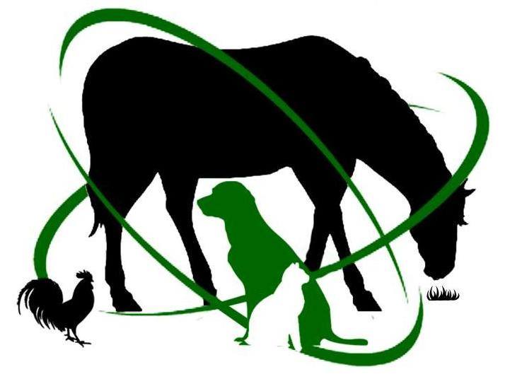 Company logo of Old Town Horse and Pet