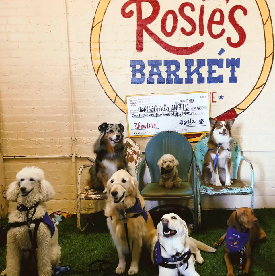 Rosie's Barket DIY Dog Wash OV