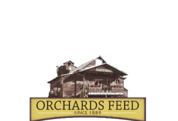 Company logo of Orchards Feed Mill