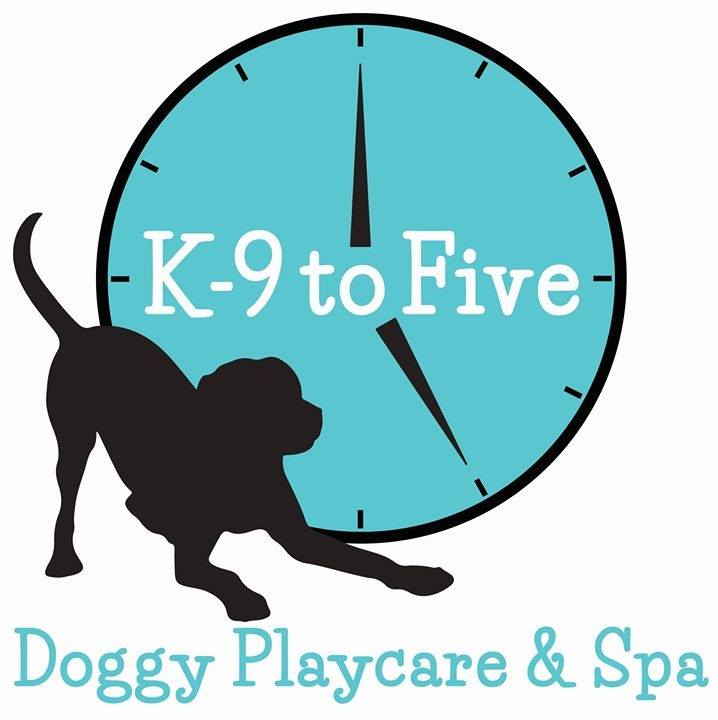 Company logo of K-9 to Five Doggy Playcare & Spa
