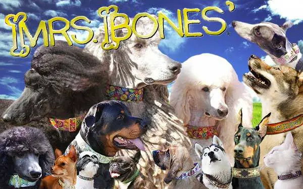 Mrs. Bones Dog Collars
