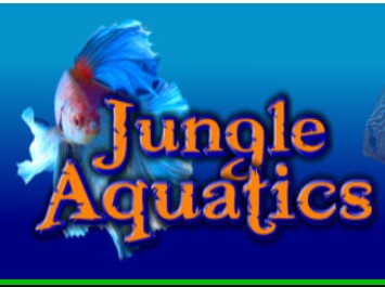 Company logo of Jungle Aquatics