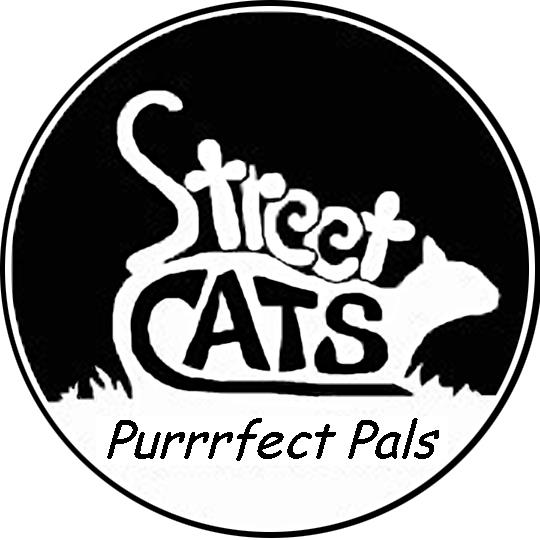 Company logo of Street Cats Inc