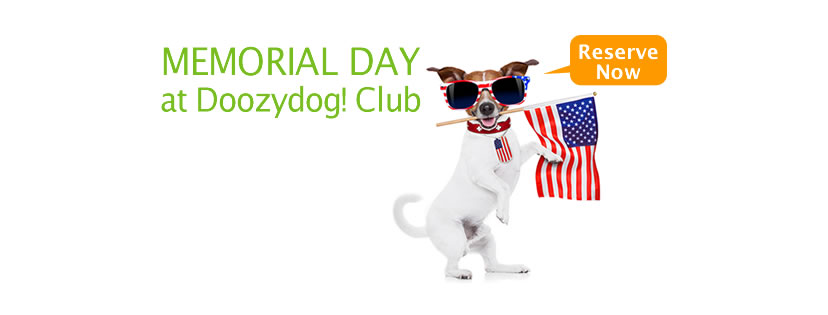 Doozydog! Club