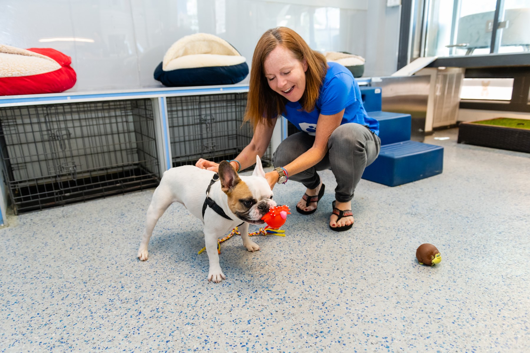 Patrick's Pet Care - Columbia Heights