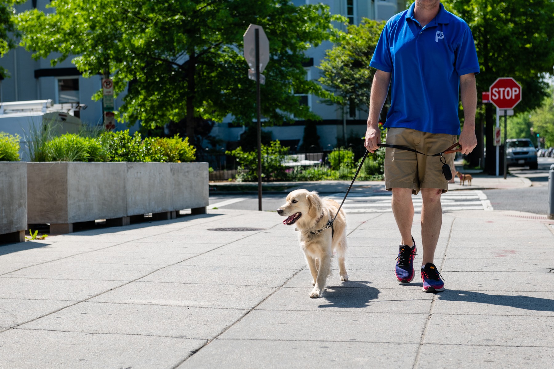 Patrick's Pet Care - Columbia Heights