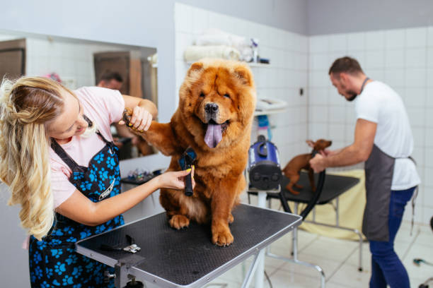 GROOM! Salon