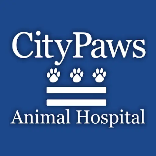 Company logo of CityPaws Animal Hospital