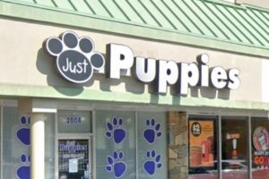 Company logo of Just Puppies