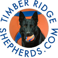 Company logo of Timber Shepherds