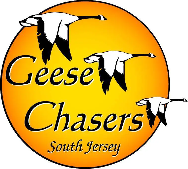 Company logo of GEESE CHASERS DE