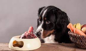 Dogs Gone Raw: Raw Dog Food, Green Tripe and Beef Bones