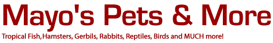 Business logo of Mayo's Pets & More