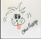 Company logo of Ohio Puppy