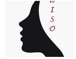 Wiso Hair Salon Extensions and Boutique