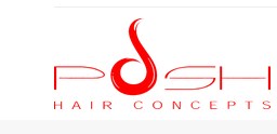 Company logo of Posh Hair Concepts