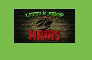 Company logo of Little Shop Of Hairs