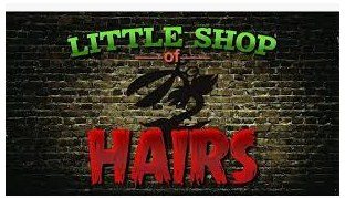 Little Shop Of Hairs