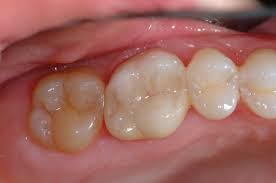 Dulvick Dentistry: Dulvick Roger J DDS