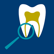 Business logo of Northern Arizona Endodontics