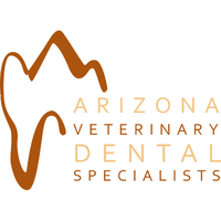 Company logo of Arizona Dental Experts ®