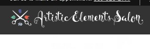 Company logo of Artistic Elements Salon