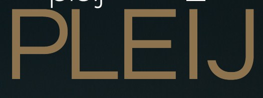 Company logo of PLEIJ Salon + Spa