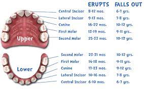 Pediatric Dentistry of Eastern AR