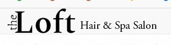 Company logo of The Loft Hair & Spa Salon
