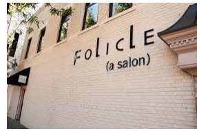 Company logo of Folicle A Salon Inc