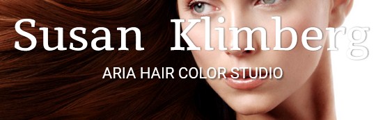 Company logo of Susan Klimberg Hair Salon