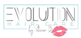 Company logo of Evolution Hair Care Salon LLC