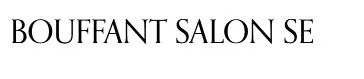 Company logo of Bouffant Salon SE