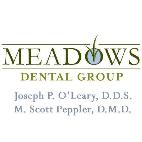 Business logo of Meadows Dental Group