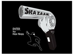 Company logo of Shazaam Hair Studio