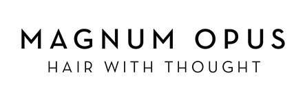 Company logo of Magnum Opus Inc