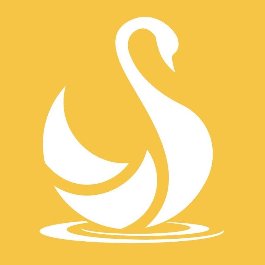 Company logo of Swan Lake Dental Care