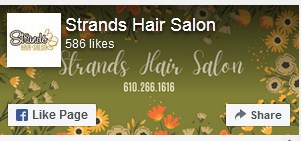 Company logo of Strands Hair Salon